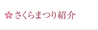 さくらまつり紹介